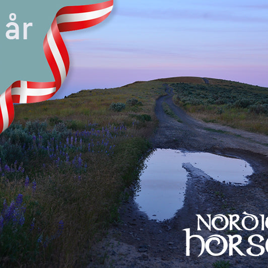 Nordic Horse fylder 3 år!!