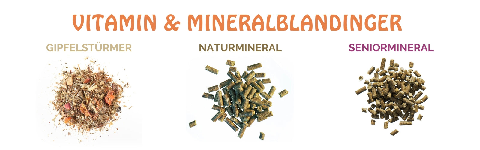 Hvilken AGROBS vitamin- og mineralblanding passer til min hest?