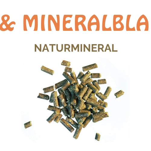 Hvilken AGROBS vitamin- og mineralblanding passer til min hest?