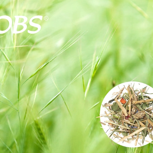 AGROBS Leichtgenuss - perfekt til den nøjsomme hest