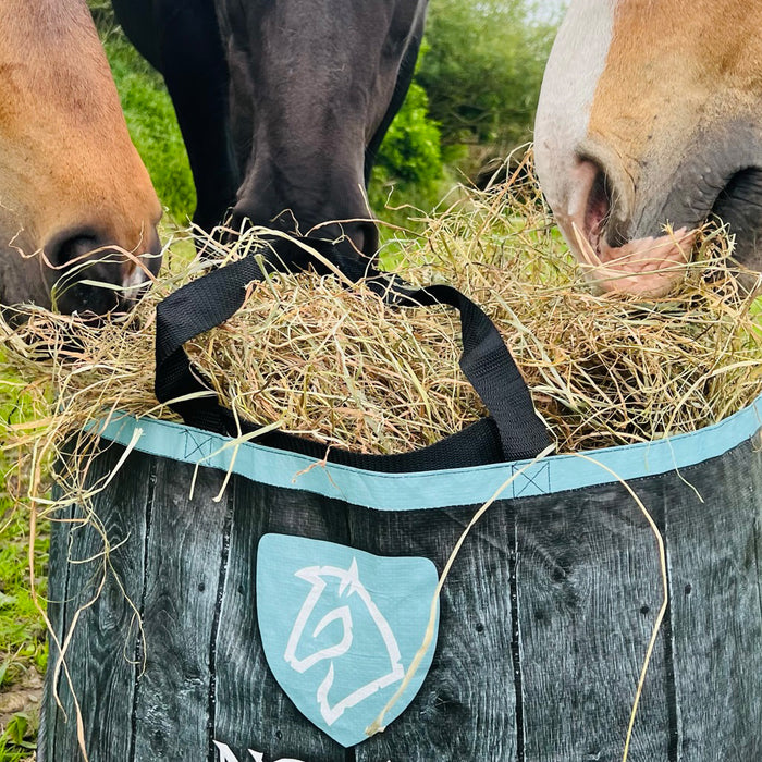 Præbiotika, synbiotika og postbiotika til heste