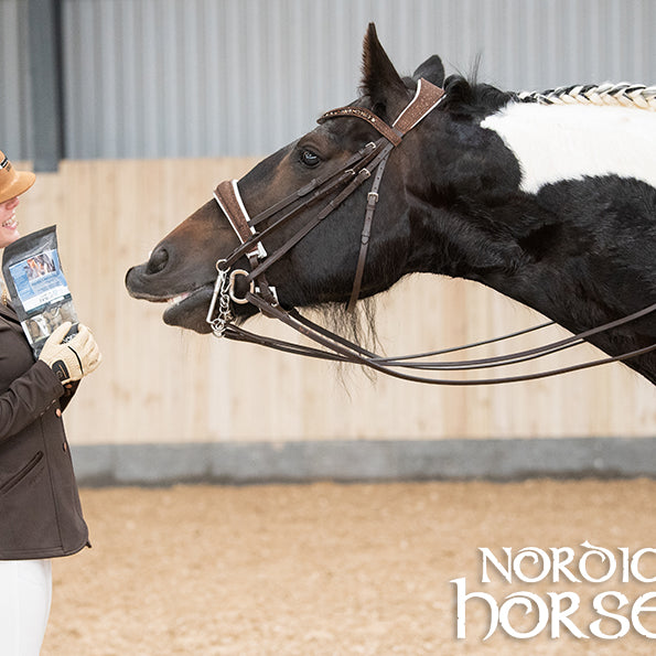 Elektrolytter – hvordan, hvornår og hvorfor?