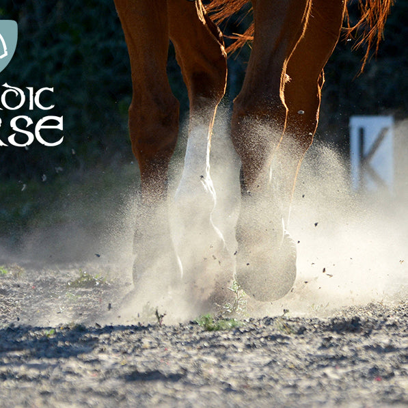 Ømme led og sener hos heste