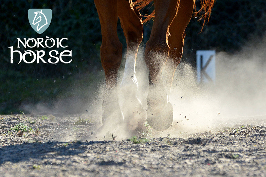 Ømme led og sener hos heste