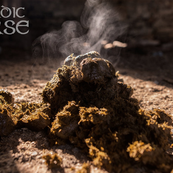 Hjælp, min hest har fået løse hestepærer