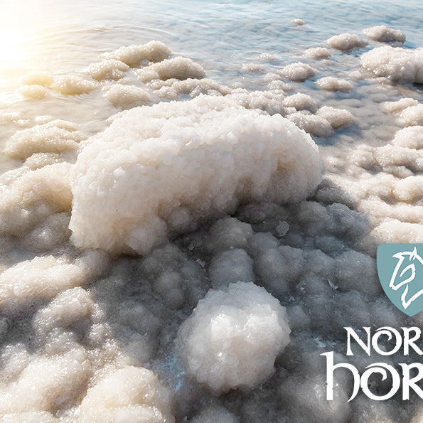 Alle heste har behov for salt