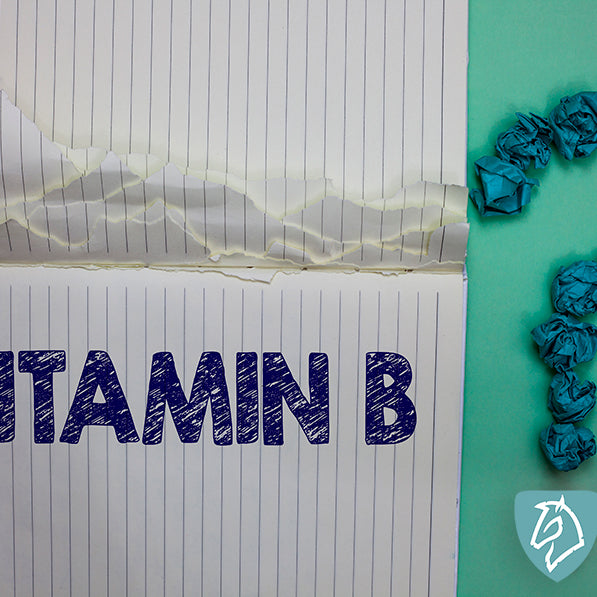 B-vitamin tilskud til din hest?