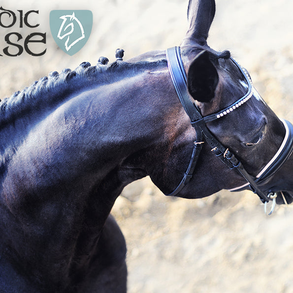 Salt og elektrolytter – hvad skal man vælge?