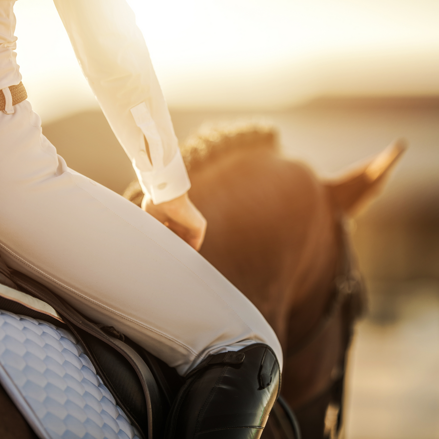Energimangel hos den overvægtige hest