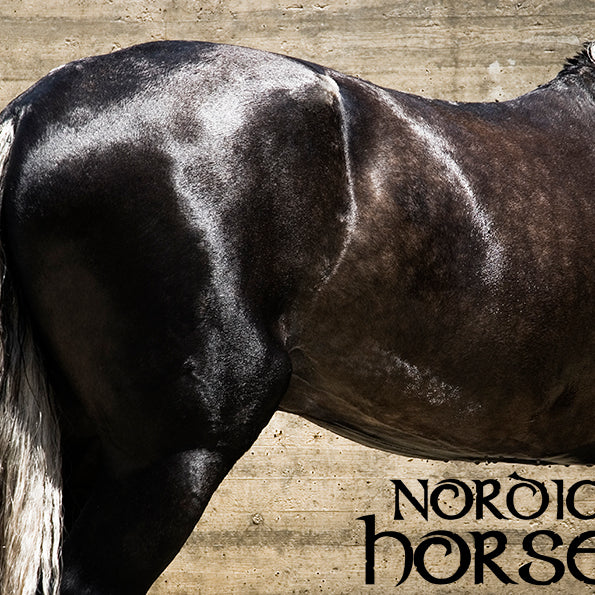 Optimering af fordøjelsessystemet