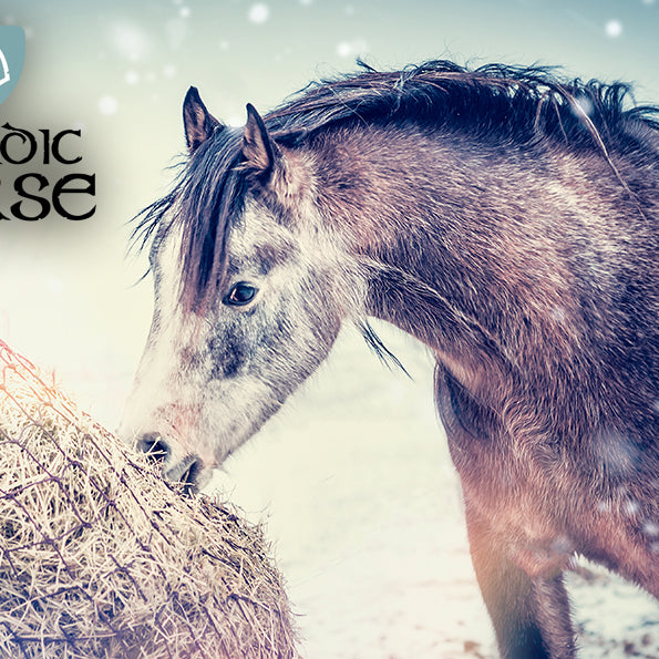 Grovfoderkvalitet henover vinteren