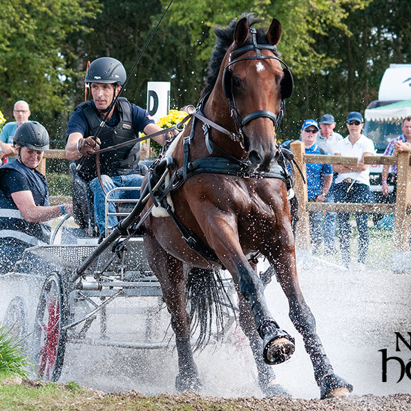 Naturlig fodring af sportshesten