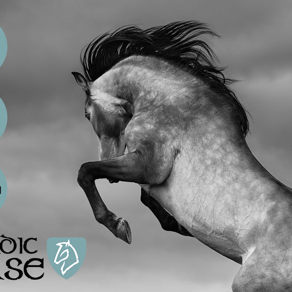 Hvad gør Nordic Horse til noget særligt ?