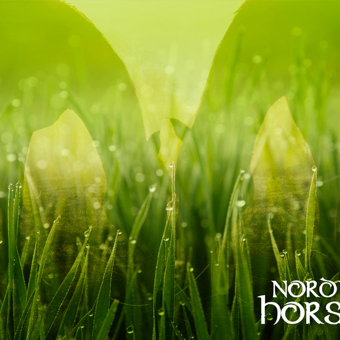 Omega-3 fedtsyrer i græs sommer og vinter