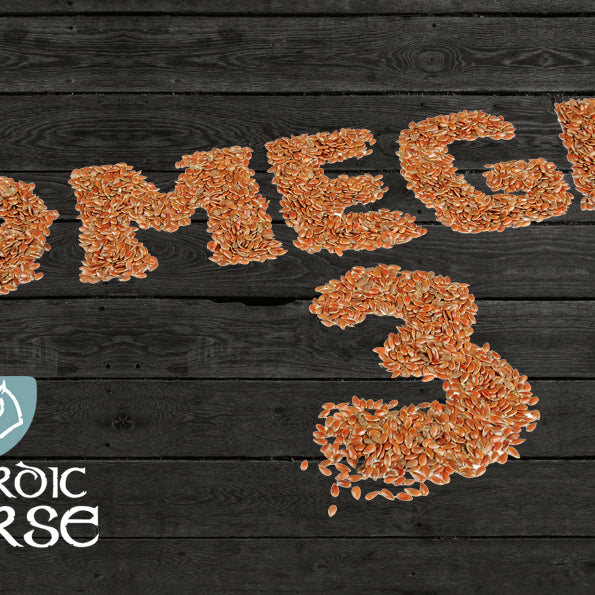 Alt om omega 3 – og forskningen på området