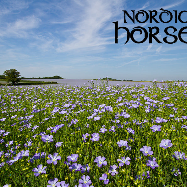 Hvad er Omega-3 fedtsyrer, og hvorfor er de så vigtige?