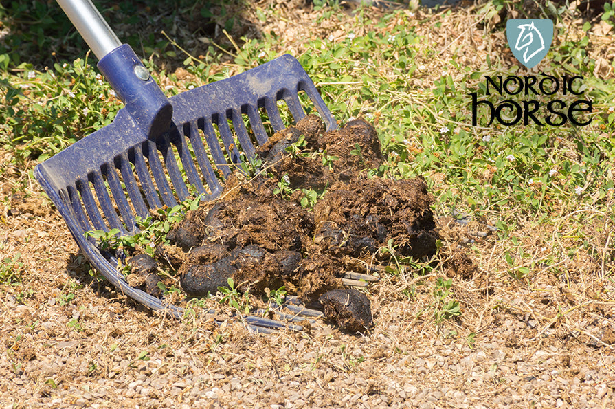 Naturlig forebyggelse mod orm