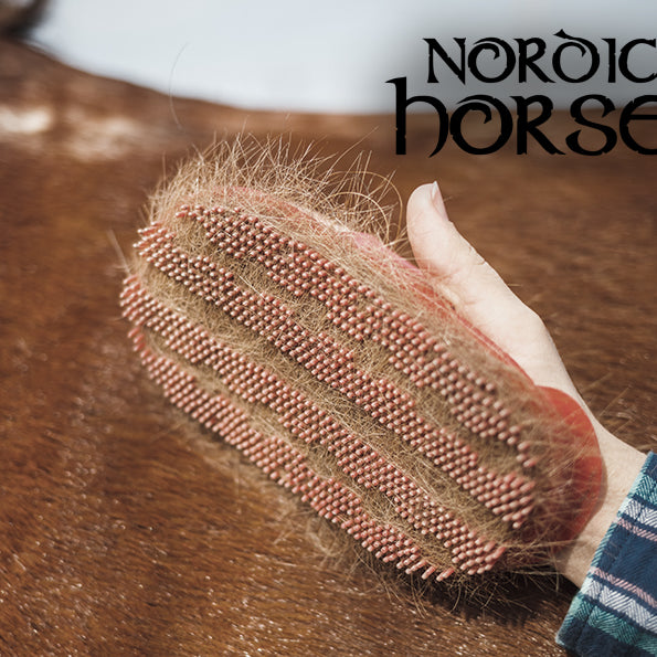 Hestens pelsskifte i foråret