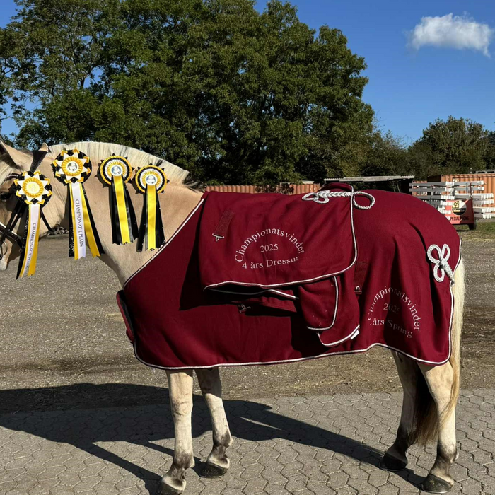 Ambassadør Maria Pejtersen: Fjordhestenes hingstekåring og championater 2025