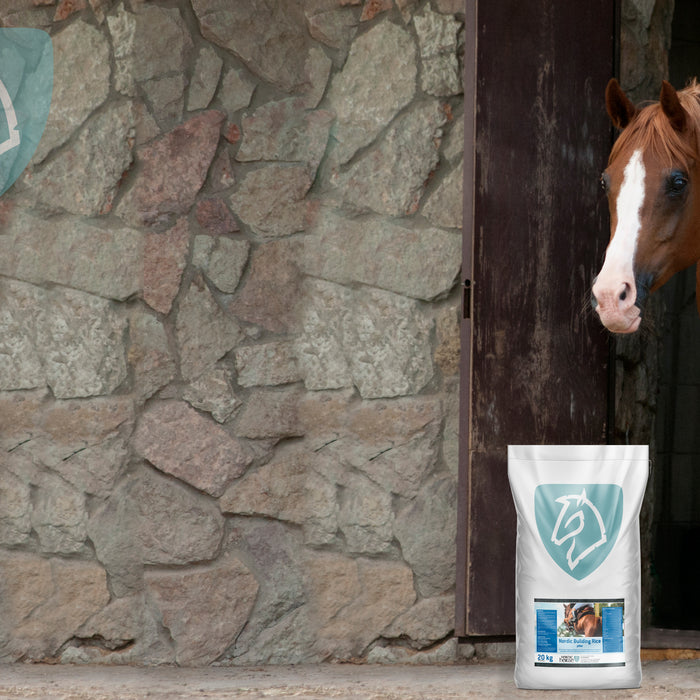 Risklid til heste – hvad kan det egentlig?