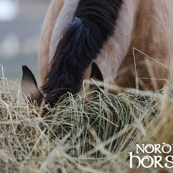 Leverandører af hø/wrap med analyse