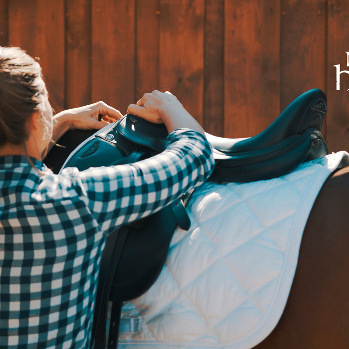 Er min hest i vedligehold, let, moderat eller hård træning?