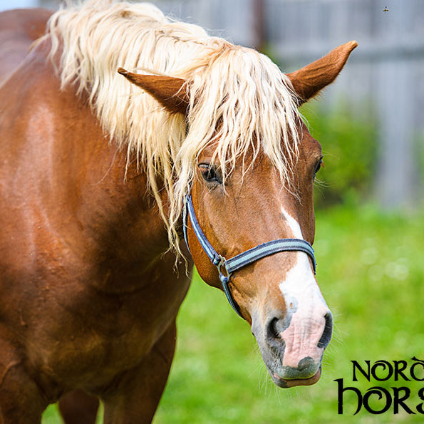 Gode erfaringer med vægttab
