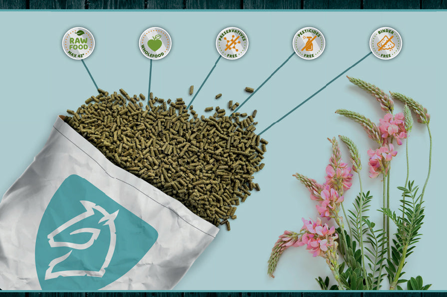 Hvilket foder skal jeg vælge til min hest?