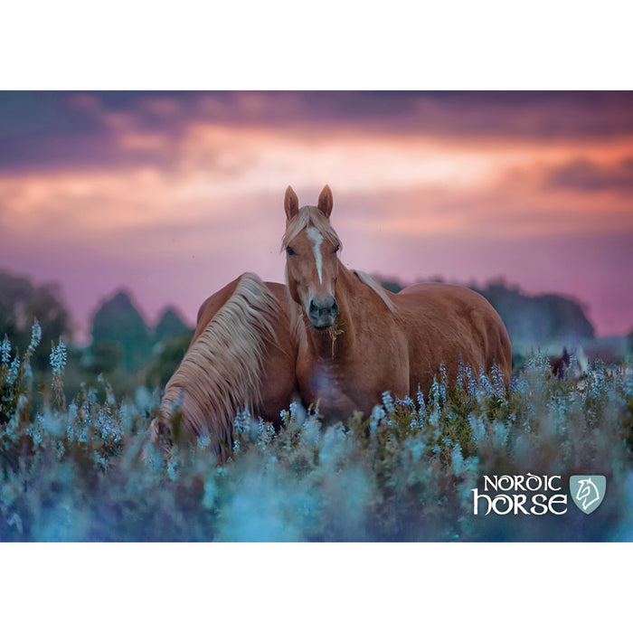 Plakat nr. 3 - Nordichorse