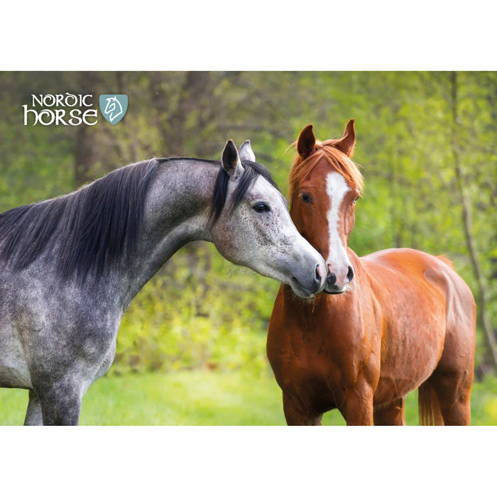 Plakat nr. 6 - Nordichorse
