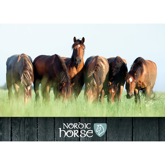 Plakat nr. 8 - Nordichorse