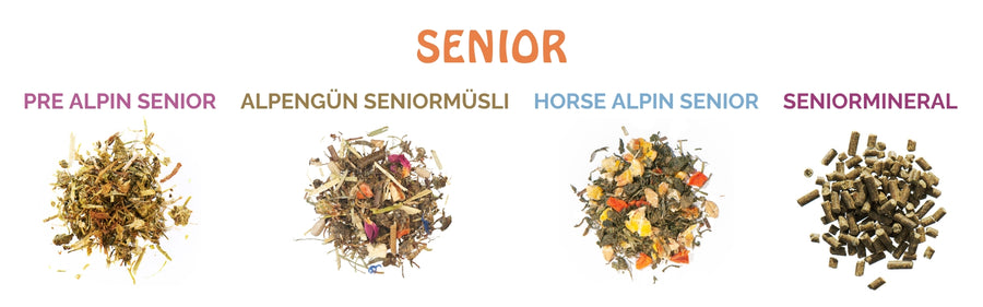 Hvilket foder skal jeg vælge til min seniorhest?