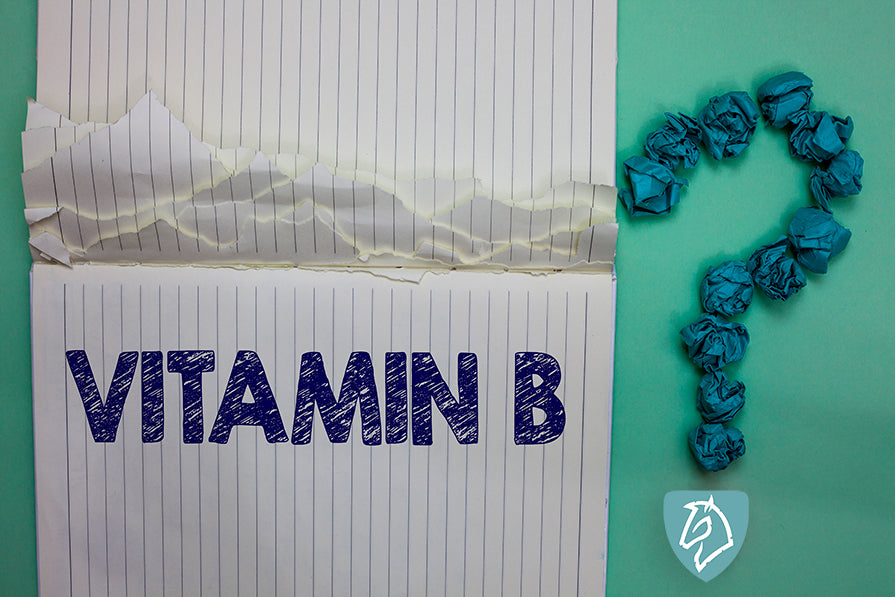 B-vitamin tilskud til din hest?