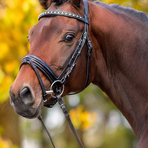 Hvordan dækker krybbefoderet hestens behov?