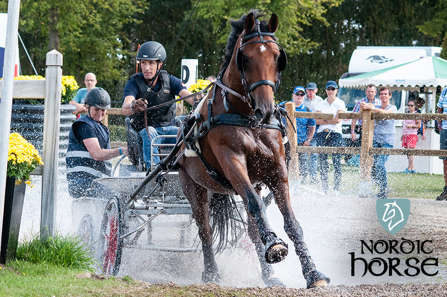 Naturlig fodring af sportshesten