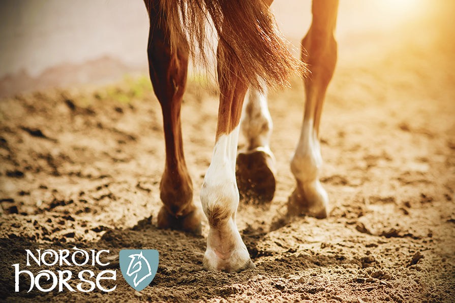 Sådan vælger du mellem vores produkter til bevægeapparatet