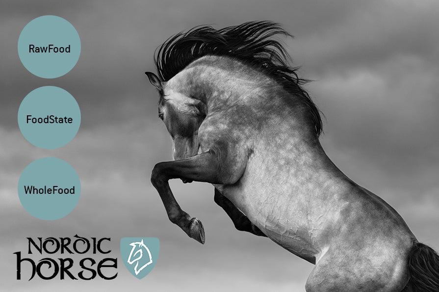 Hvad gør Nordic Horse til noget særligt ?