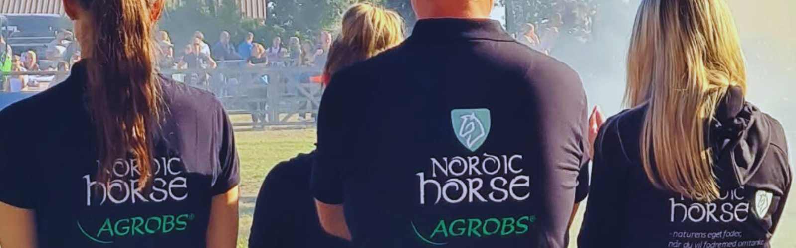 Nordic Horse fylder 9 år