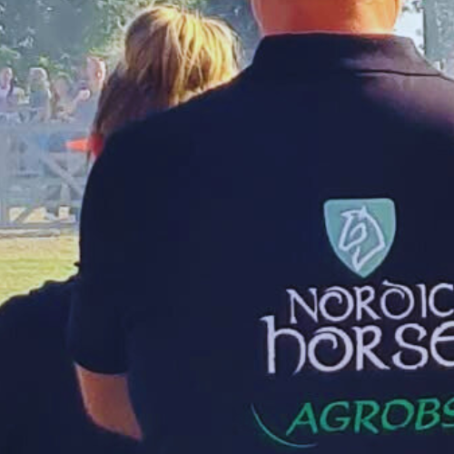 Nordic Horse fylder 9 år