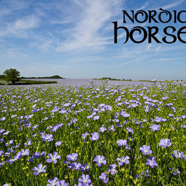 Hvad er Omega-3 fedtsyrer, og hvorfor er de så vigtige?