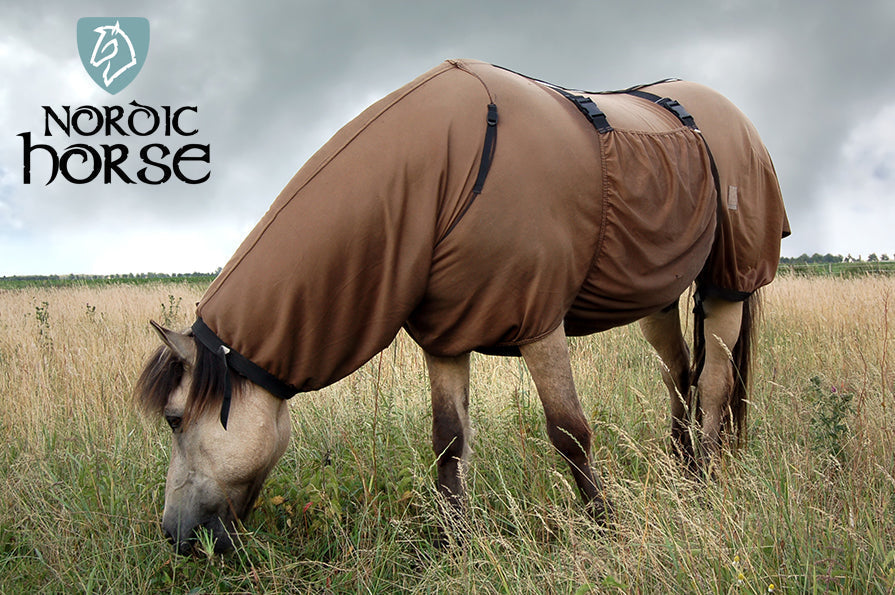 Sådan booster du hesten, der er overfølsom over for insektbid