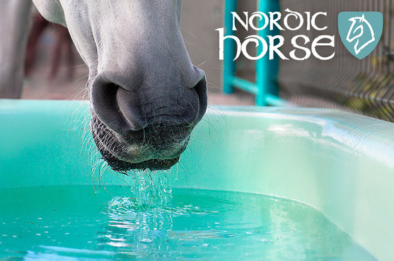Hvor meget vand drikker en hest?