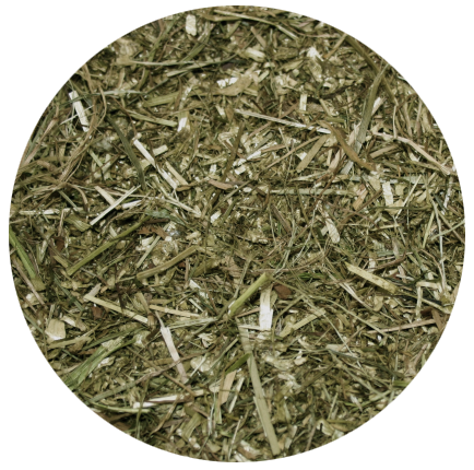 Nordic Grass Fiber