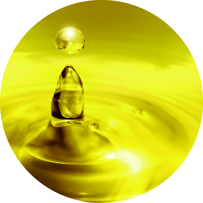 Nordic DHA Algae Oil