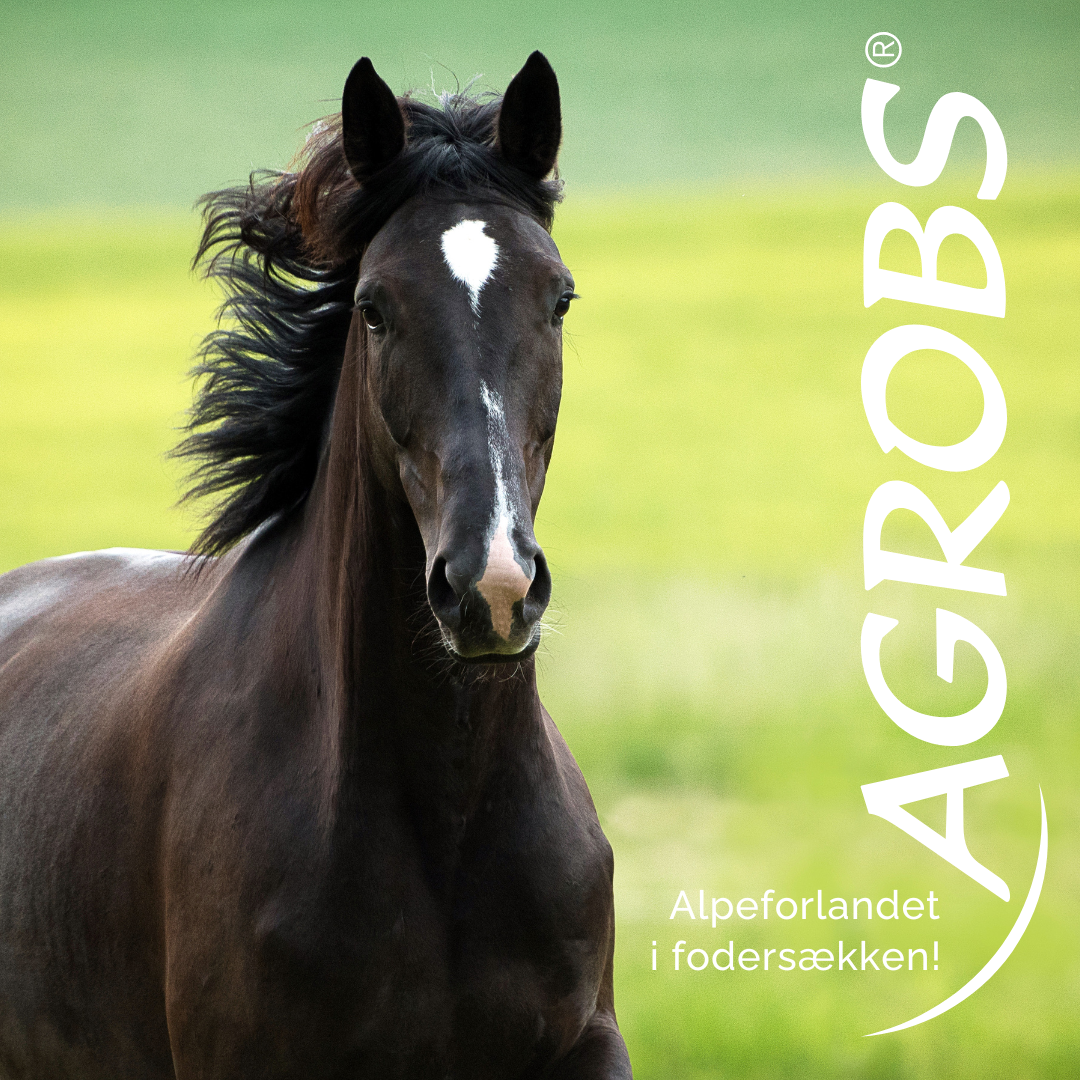AGROBS – naturlig fodring i balance