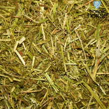 Nordic Alfalfa Fiber