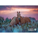 Plakat nr. 3 - Nordichorse