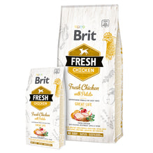 Brit Fresh Adult Great Life (gul)